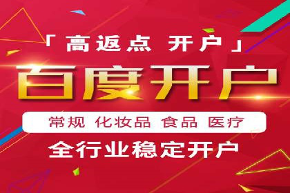 百度推广实战攻略：案例与策略