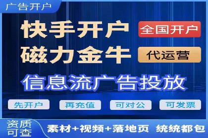 成功SEM推广代运营案例展示